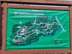 -原山国家森林公园