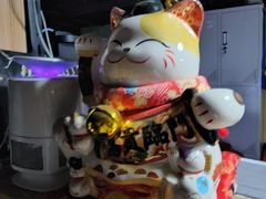 -白兔子密室(长寿路店)