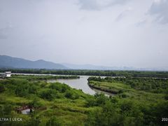 -福田红树林生态公园
