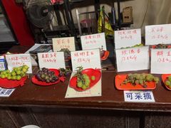 -马陆小张葡萄园农家乐