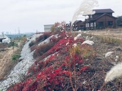 -丹世红酒庄·烧烤·团建·婚礼·水上运动