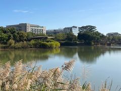 -福田红树林生态公园