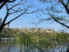 -重庆彩云湖湿地公园