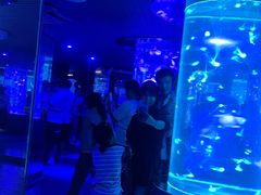 -南昌海洋公园