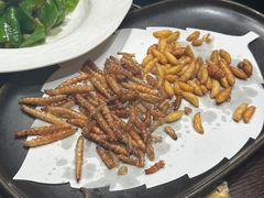 -滇野云南野生菌餐厅(陕西南路店)