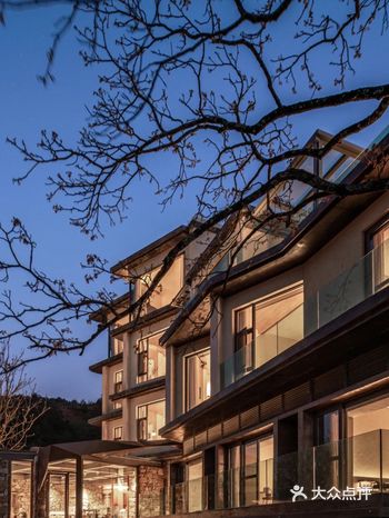 山林云海中，古树造就的精神艺术品