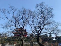-冶父山国家森林公园
