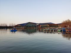 -上海长兴岛郊野公园