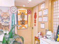 -猫十亿·布偶金渐层·曼基康矮脚猫舍(青年路店)