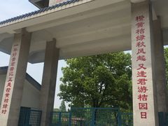 -长兴岛郊野公园农场食堂