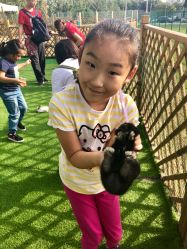 -萌宠亲子动物乐园(槐房万达店)