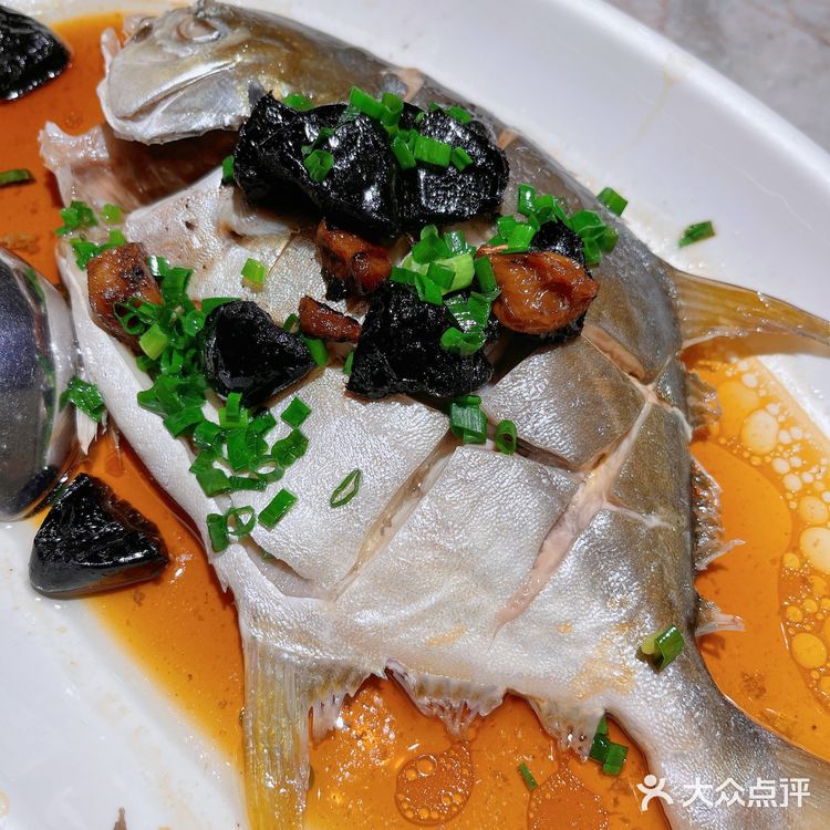 深圳探店📍天花板之美味🌈顶峰港式茶餐厅 