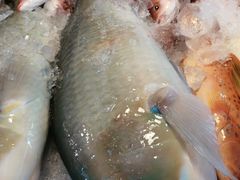 -兰坡海鲜市场