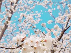 -龙美术馆西岸馆-停车场