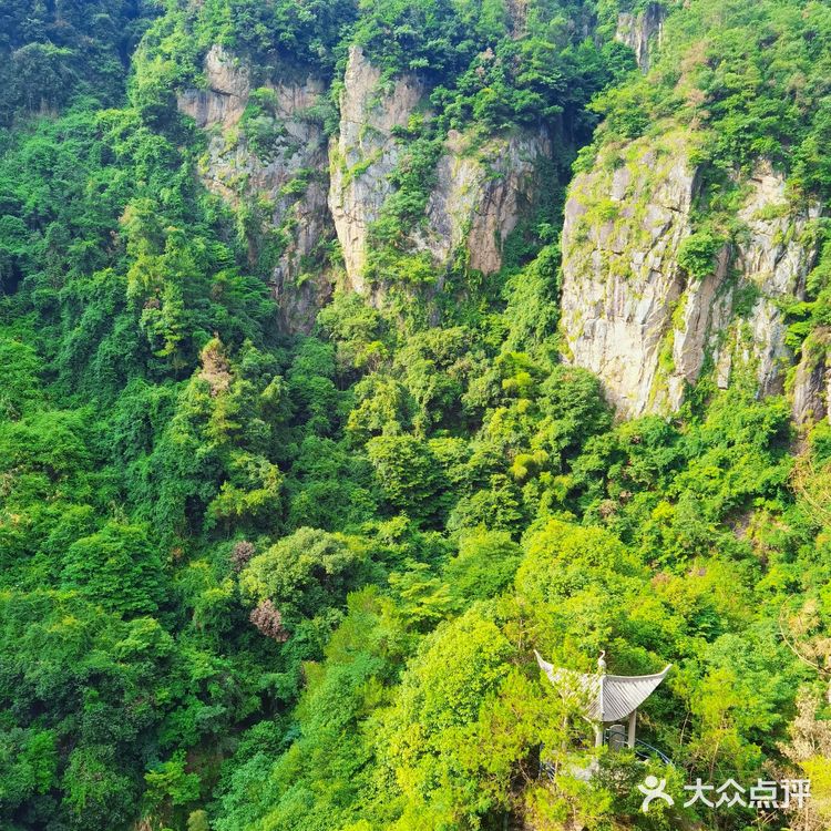热爱105℃的你,来琼台仙谷避暑呀!