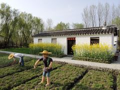 -溱湖国家湿地公园