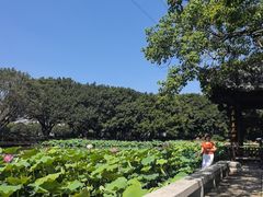 -光明港公园