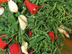 炒丝瓜尖-宋记冕宁土菜馆(海门渔村二店)