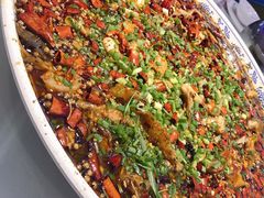 -新概念来凤鱼(璧山店)