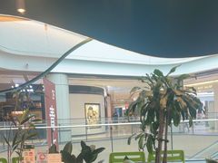 -烹然四季椰子鸡火锅(姚家园万象汇店)