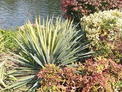 -西北湖绿化广场