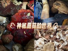 -菌之家·专业纯野生菌火锅·特色炒菌