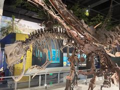 -国家自然博物馆