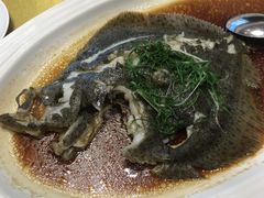 -新海利海鲜城·41年珠海老字号(夏湾店)