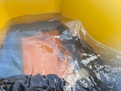 -将军关探险漂流