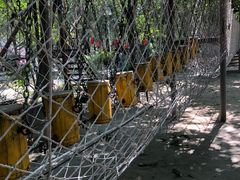 -草根堂农场