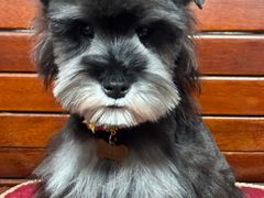 -派特宠物医院(圆融广场店)