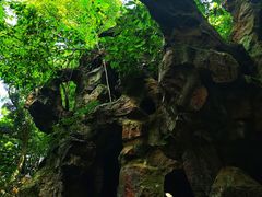 -杭州黄龙洞