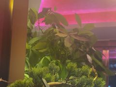 -唐元阁·影院足道SPA·养生会所