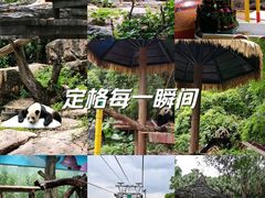 -广州长隆野生动物世界