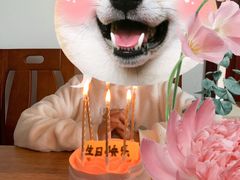 -布歌东京(金融街购物中心店)