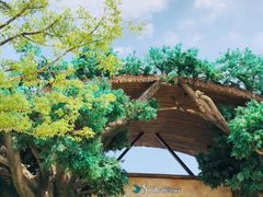 -杭州开元森泊度假乐园