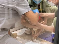 -萌兽医馆·眼科·异宠专科(三里屯店)