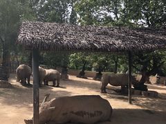 -西安秦岭野生动物园