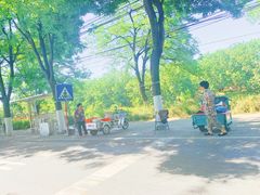-御林古桑园