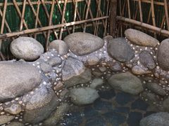 -咸宁万豪温泉谷度假区