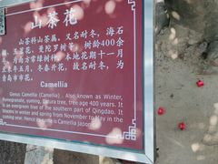 -青岛崂山太清宫