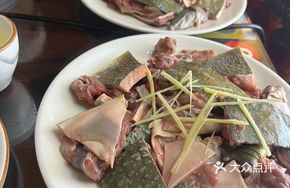 Mountain Pond Turtle Dish
