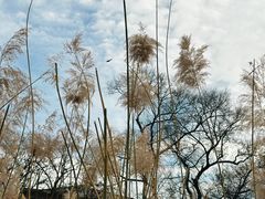 -八大处公园