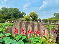 -广州莲花山旅游区