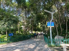 -西安市长乐公园