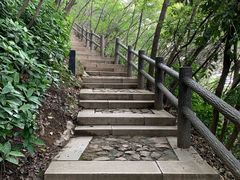 景点-大阳山国家森林公园