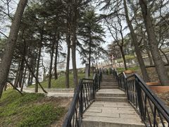 -观象山公园