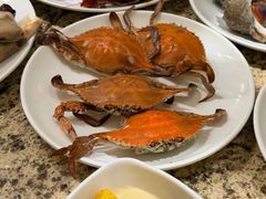 -禾斗海鲜自助(市南银座店)