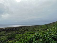 -鹅銮鼻公园