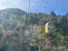 -黔灵山公园